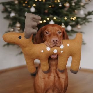 Lesní zvířátka nesmí chybět pod🎄. #barnabyforpets #barnaby #miacaradesign #hrackapropsa #vánoční #vanocniinspirace...