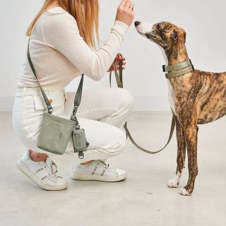 Připravte se na praktické NOVINKY.🤩 👉 https://www.barnaby.cz/novinky/ #barnabyforpets #loveyourdog #miacaradesign...