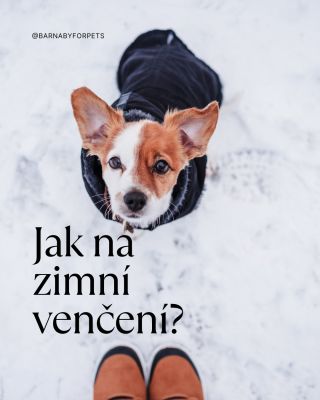💡 Ochranný balzám na tlapky, reflexní prvky nebo teplý obleček – malé věci, které dělají velký rozdíl. ✨ Letos pod...