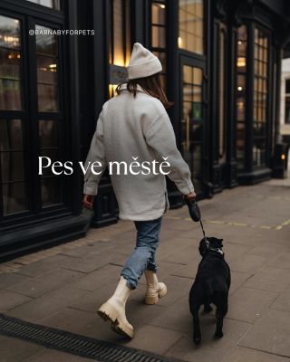 Pozor na tramvaje… nebo šaliny? 🚋🐶 #barnabyforpets #pesvemeste #spokojenypes