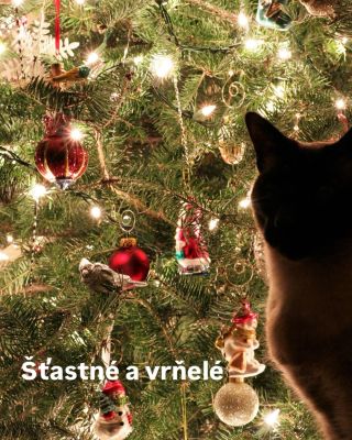 Ho ho ho! 🎅🎄 Přejeme krásné Vánoce vám i vašim chlupatým kamarádům!❄️ #barnabyforpets